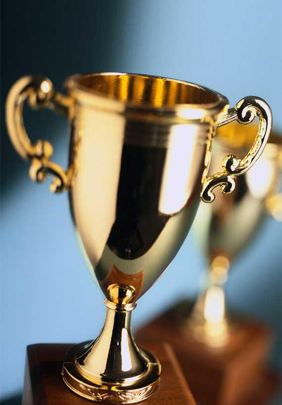 هانغتشو Lizhong Shengteng قطع غيار السيارات المحدودة